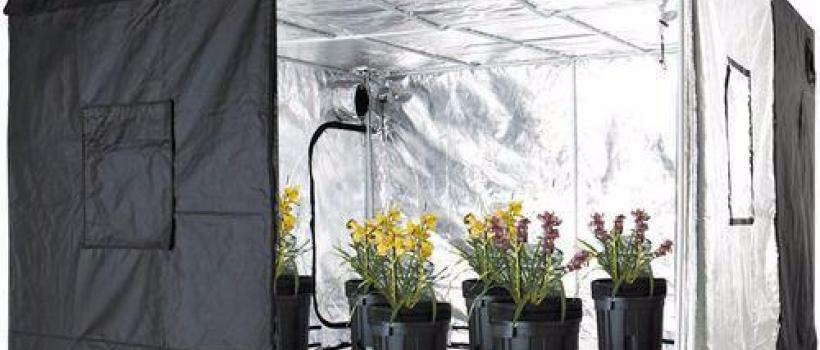 Grow Tents
