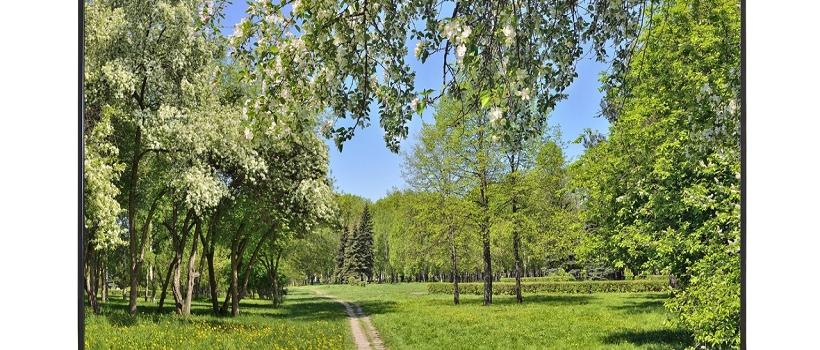 HDTV (High-definition Television), HDTV (High-definition Television) Market, HDTV (High-definition Television) Market Growth