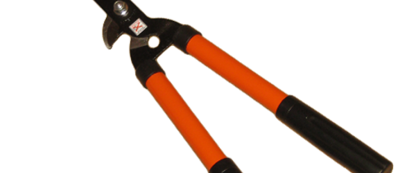 Hedge Trimmer 