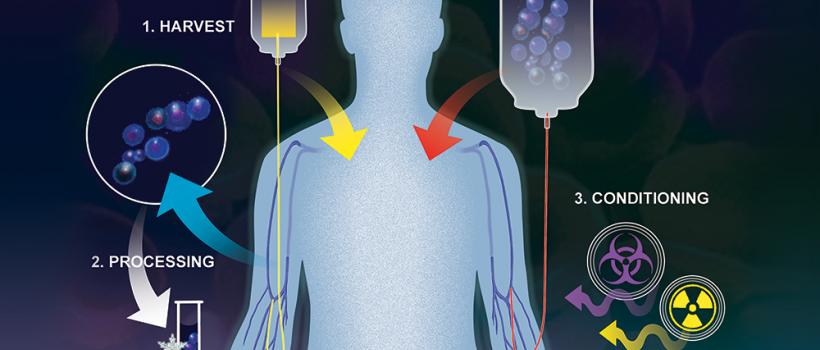 Hematopoietic Stem Cell Transplantation (HSCT) Market