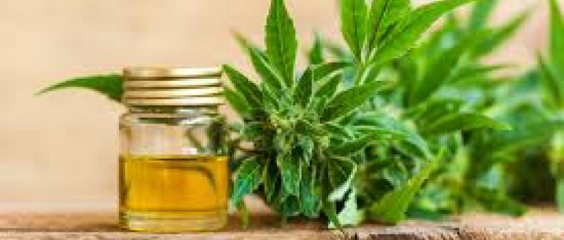 Hemp Oil Market 