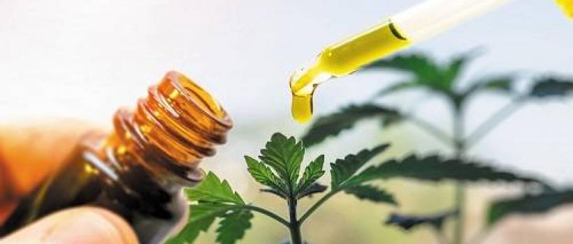 Elixinol hemp oil