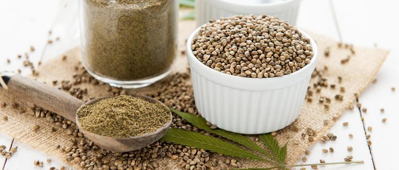 Hemp Seed Protein Market