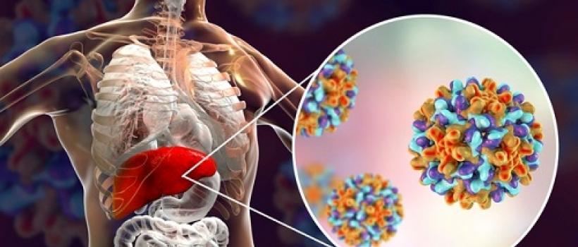 Hepatitis Therapeutics 