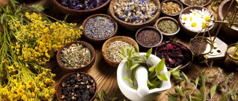 Herbal Medicine