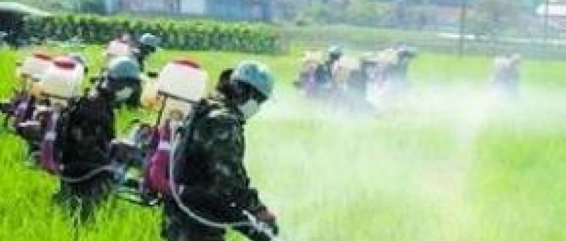 Herbicides market
