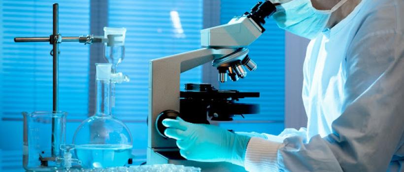 High-end cellomics 