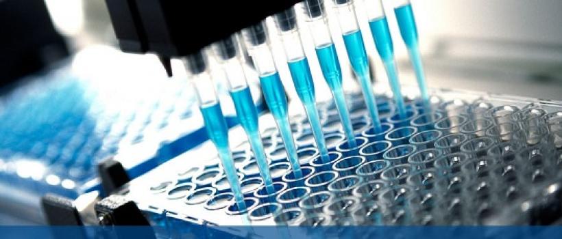High Throughput Screening (HTS) 