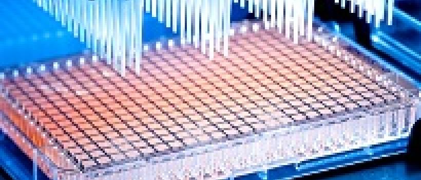 High-Throughput Screening Market