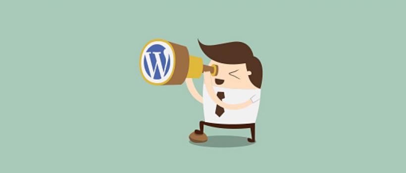 Hire WordPress Developer Hire WordPress Developer