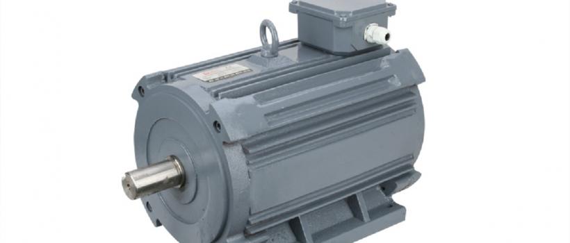 Horizontal Synchronous Motor