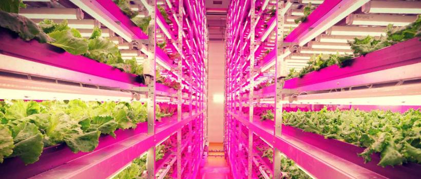 Horticultural LED Lighting Market