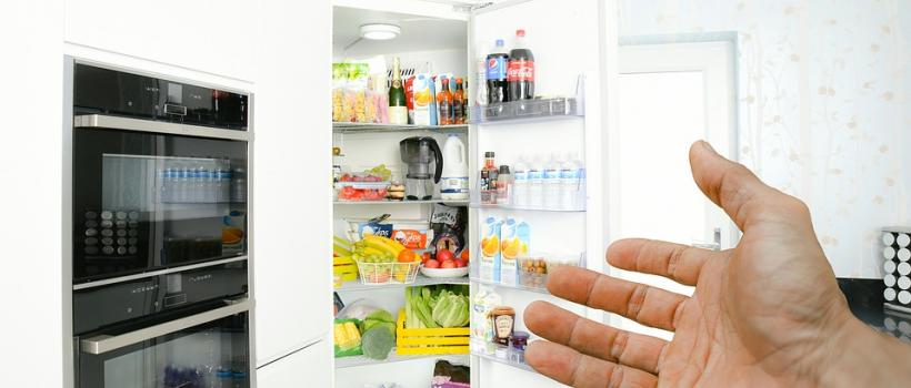 Household Refrigerator And Home Freezer Market Size, Share, Growth And Trends