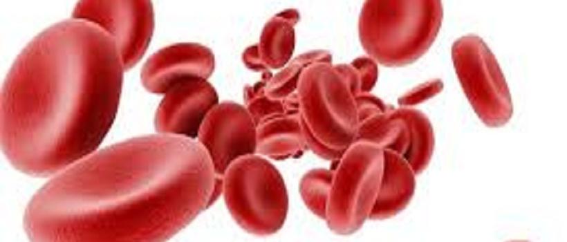 factor 8 blood clotting