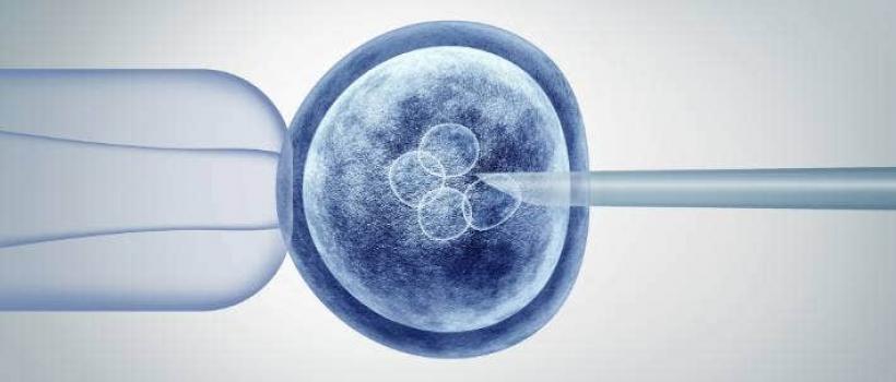 Human Embryonic Stem Cells Market 