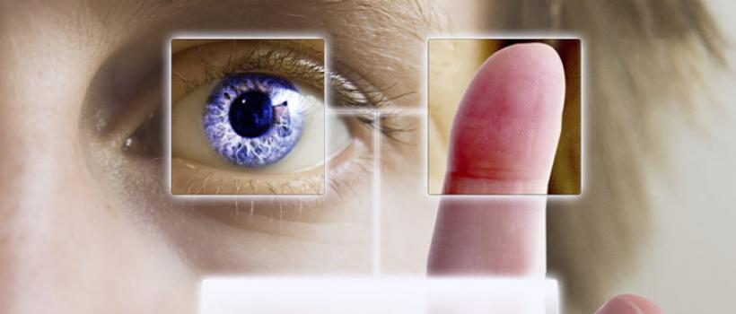 Human Identification