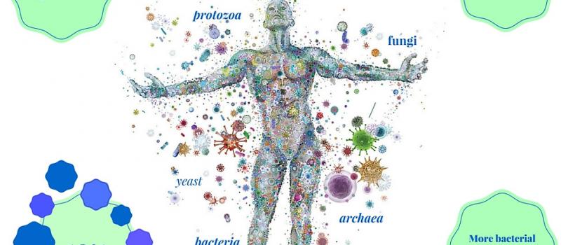 Human Microbiome