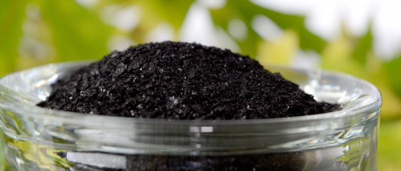 Humic Acid Market