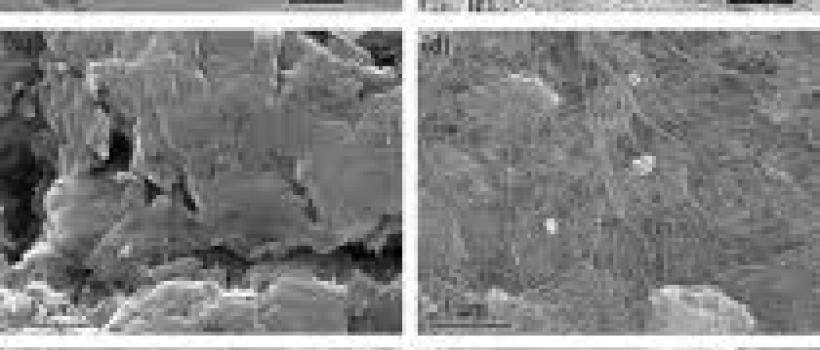 Hybrid Graphene Carbon Nanotube Film 