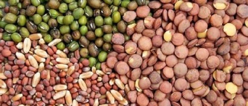 Hybrid Vegetable Seeds Market