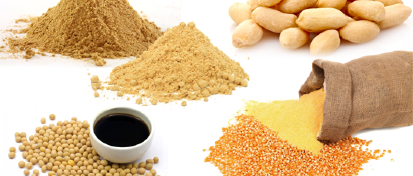 Hydrolyzed Vegetable Protein