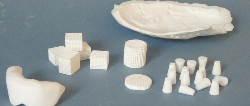 Hydroxyapatite Market