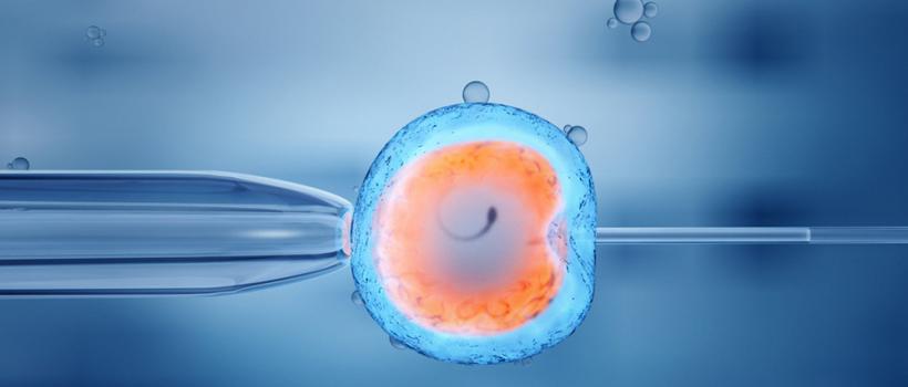 IVF Services Industry Market