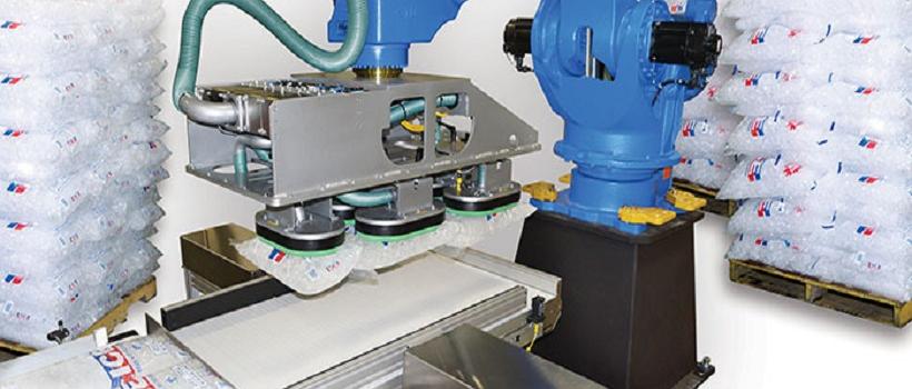 Ice Palletizers,  Ice Palletizers Market,  Ice Palletizers Market Growth,  Ice Palletizers Market Share,  Ice Palletizers Market Size