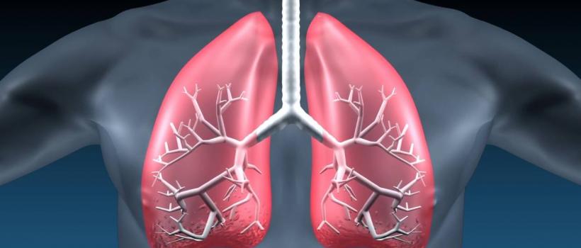 Idiopathic Pulmonary Fibrosis Market