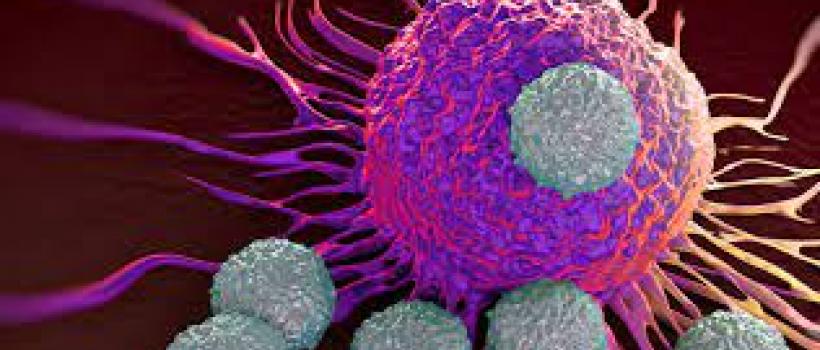 Immuno-Oncology Assays Market