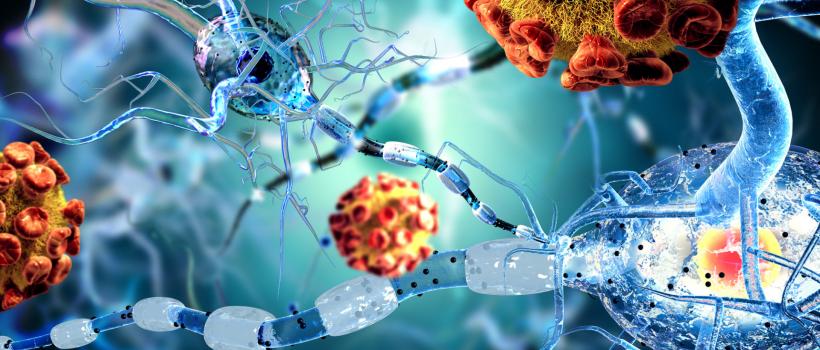  Immuno-Oncology Assays Market