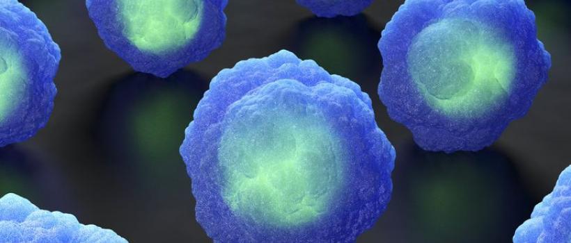 Immunohistochemistry