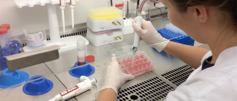In Vitro Toxicity Market