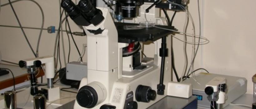 In-vitro Fertilization (IVF) Devices