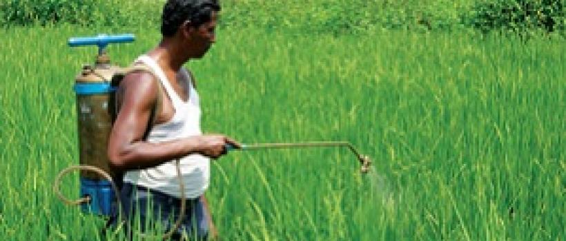 India Biopesticides Market