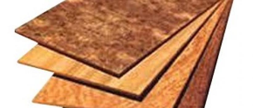 India Plywood Market