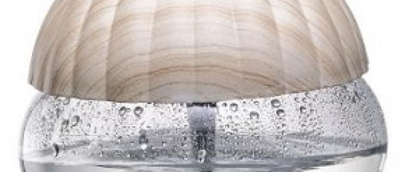 India Water and Air Purifier Market