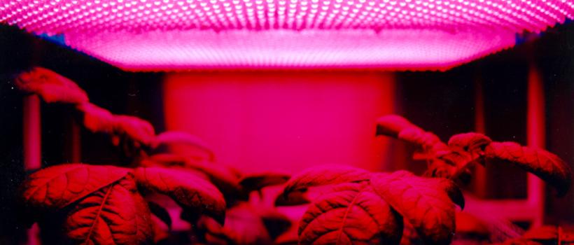 indoor farming technology market