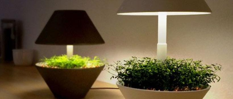 Indoor Plant Lighting Market