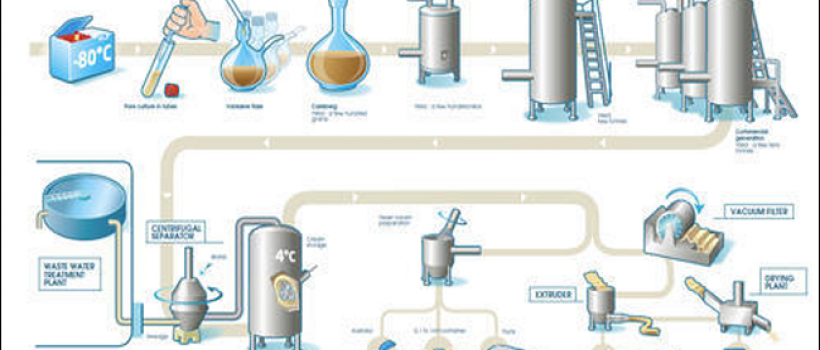 Industrial Enzymes Market