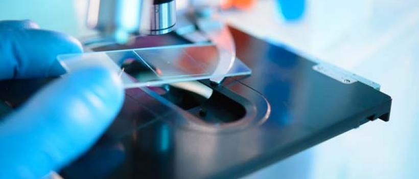 Infectious Disease Diagnostics
