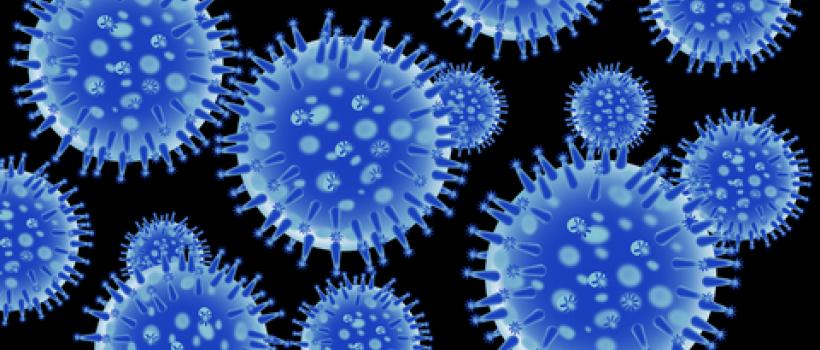 Influenza A Virus