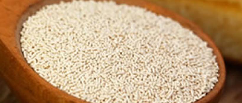 Instant Active Dry Yeast 