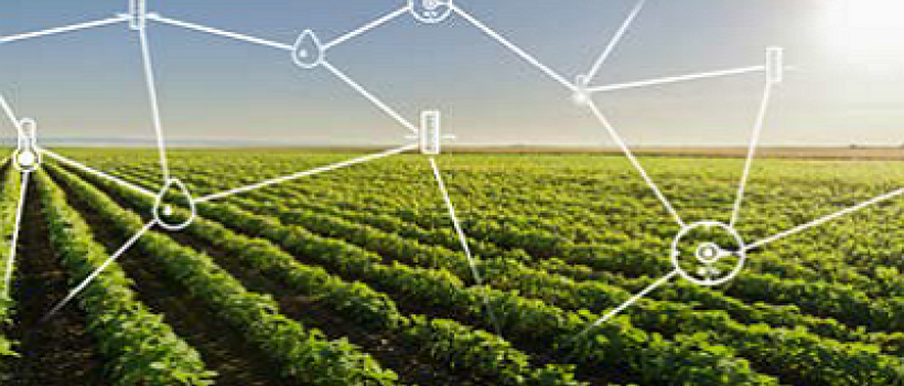 Intelligent Agriculture Market