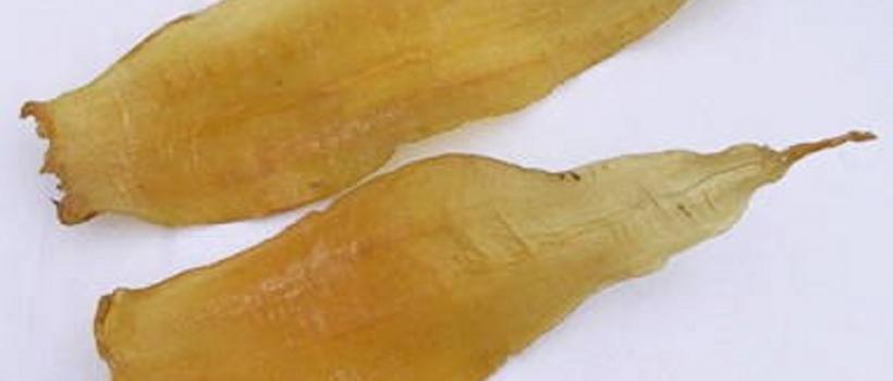 Isinglass 