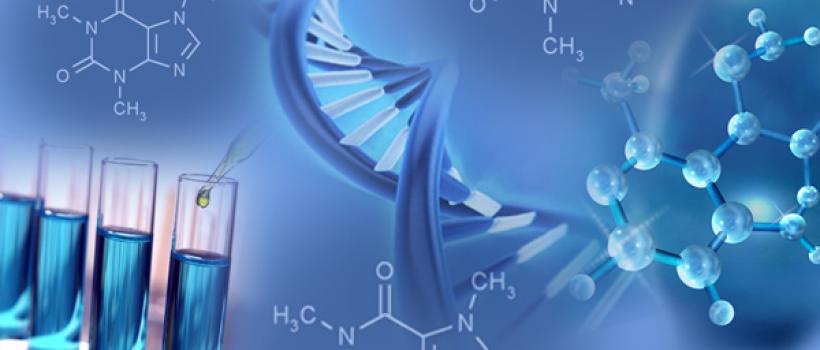 Isomalto-Oligosaccharide, Isomalto-Oligosaccharide Market, Isomalto-Oligosaccharide Market Growth, isomalto-oligosaccharide diabetes, isomalto-oligosaccharide food source 