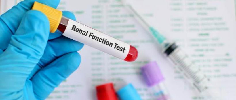 Kidney Function Test Market
