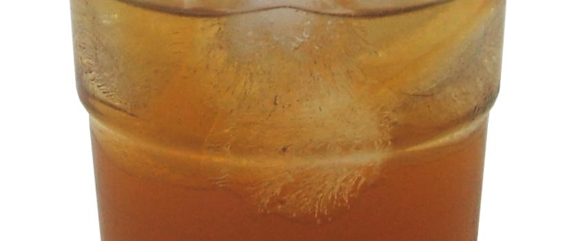 Kombucha Market