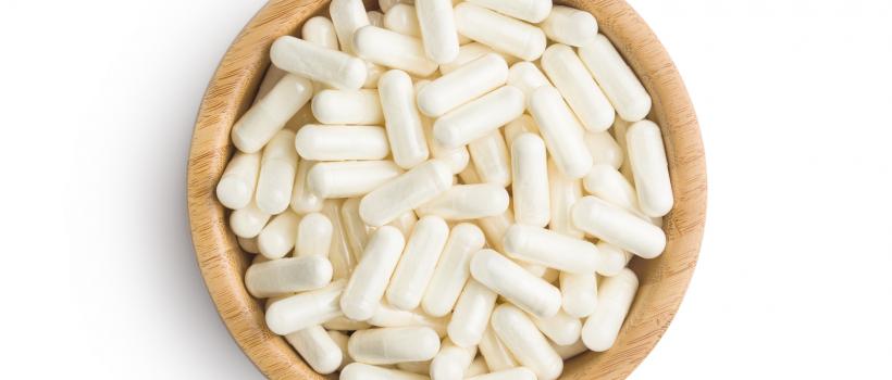 Lactobacillus Acidophilus Probiotics Market