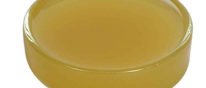 Lanolin Derivatives Market